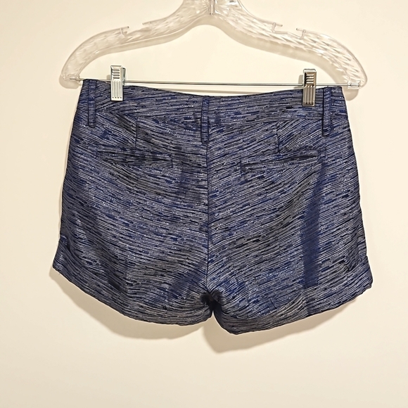 PARAELLA Silver blue metallic shorts sz 2 EUC - Picture 2 of 7